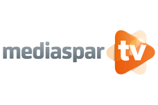 mediaspar